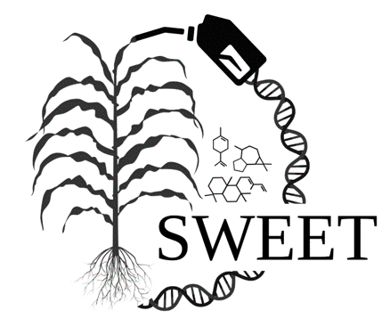 SWEET logo